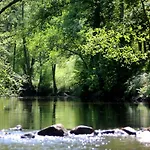 Domaine Chez Jem * Le Breuil (Allier)