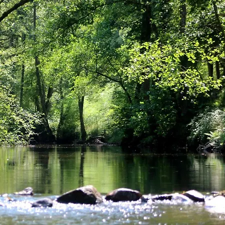 Domaine Chez Jem * Le Breuil (Allier)
